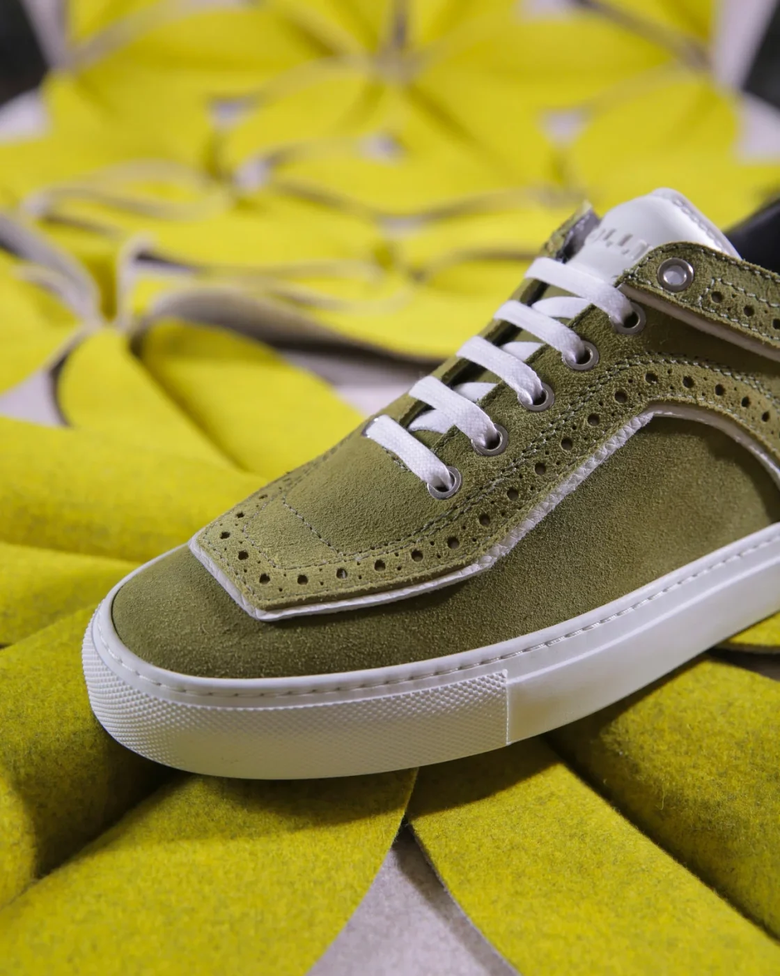 Pollini